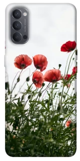 Чехол на Oppo Reno 4 Поле маков фото 1 из 1