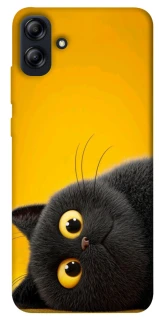 Чохол на Samsung Galaxy A04e This is Cat фото 1 з 1