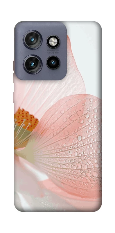 Чехол на Motorola Edge 50 Neo Flowers zon фото 1 из 1