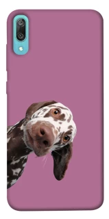 Чохол на Huawei Y6 Pro (2019) А що тут фото 1 з 1