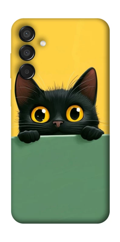 Чохол на Samsung Galaxy M15 5G Black cat v2 фото 1 з 1