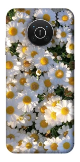 Чехол на Nokia X10 / X20 Поле ромашек фото 1 из 1