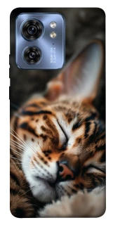 Чехол на Motorola Edge 40 Cat paws фото 1 из 1
