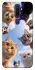 Чохол на Oppo A5 (2020) / Oppo A9 (2020) Cats фото 1 з 1