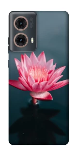 Чохол на Motorola Moto G85 Лотос фото 1 з 1