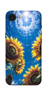 Чохол на Apple iPhone 17e (6.1") Sunflowers фото 1 з 1