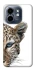 Чохол на Infinix Smart 9 4G / Hot 50i Leopard Art v2 фото 1 з 1