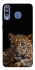 Чохол на Samsung Galaxy M30 Leopard v4 фото 1 з 1