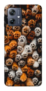 Чохол на Motorola Moto G54 Сat paws фото 1 Чохол на Motorola Moto G54 Сat paws фото 1 з 1