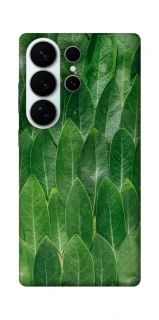 Чехол на Samsung Galaxy S26 Pro Листья фото 1 из 1