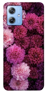 Чехол на Motorola Moto G84 Garden1 фото 1 из 1