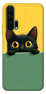 Чехол на Huawei Honor 20 Pro Black cat v2 фото 1 из 1