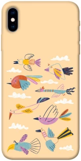 Чохол на Apple iPhone X (5.8") Переліт фото 1 з 1