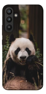 Чохол на Samsung Galaxy A34 5G Панда фото 1 з 1