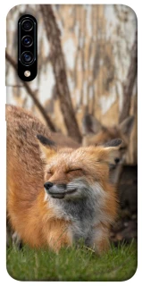 Чехол на Samsung Galaxy A50 (A505F) / A50s / A30s Лиса фото 1 из 1