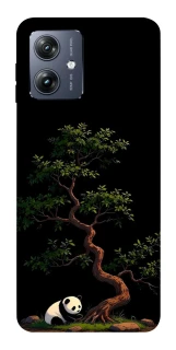 Чохол на Motorola Moto G54 Panda and tree фото 1 з 1