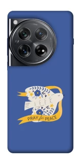 Чехол на OnePlus 12 Ласточка фото 1 из 1