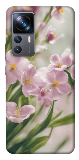 Чехол на Xiaomi 12T / 12T Pro Spring фото 1 из 1