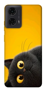 Чохол на Motorola Moto G24 This is Cat фото 1 з 1