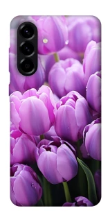 Чехол на Samsung Galaxy A56 5G Фиолетовые тюльпаны фото 1 из 1