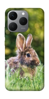 Чохол на Realme 15T Кролики фото 1 з 1