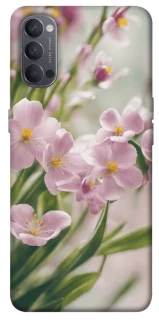 Чехол на Oppo Reno 4 Spring фото 1 из 1