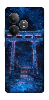 Чехол на Realme GT Neo 6 SE torii gate фото 1 из 1