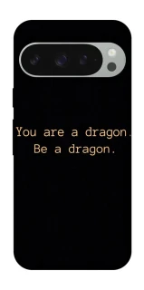 Чохол на Google Pixel 10 Pro XL House of the Dragon ver.9 фото 1 з 1