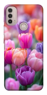 Чохол на Motorola Moto E40 Тюльпанове поле фото 1 з 1