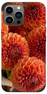 Чохол на Apple iPhone 12 Pro Max (6.7") Flower1 фото 1 з 1