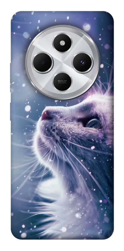 Чехол на Xiaomi Redmi 14C / Poco C75 Snow cat фото 1 из 1