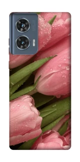 Чохол на Motorola Edge 50 Beauty фото 1 Чохол на Motorola Edge 50 Beauty фото 1 з 1