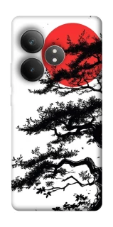 Чехол на Realme GT Neo 6 SE Дух Японии v2 фото 1 из 1