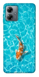 Чехол на Motorola Moto G14 Fish фото 1 из 1