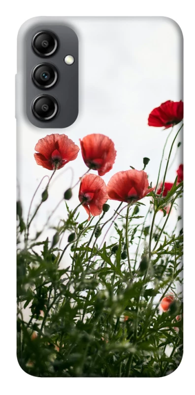 Чохол на Samsung Galaxy A14 4G/5G Поле маків фото 1 з 1