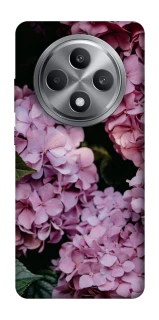 Чехол на Oppo Reno 12 F 4G Розовые гартензии фото 1 из 1