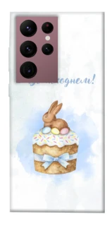 Чохол на Samsung Galaxy S22 Ultra Easter ver.8 фото 1 з 1