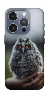 Чехол на Apple iPhone 16 Pro Совёнок фото 1 из 1