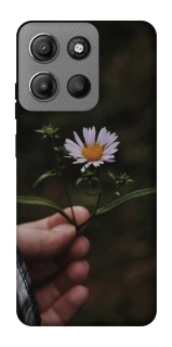 Чехол на Motorola Moto G15 Power Ромашка v4 фото 1 из 1