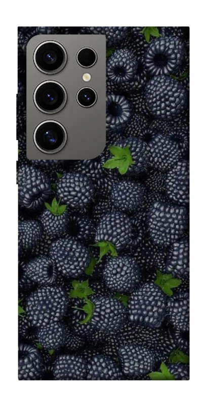 Чохол на Samsung Galaxy S24 Ultra Fresh фото 1 з 1