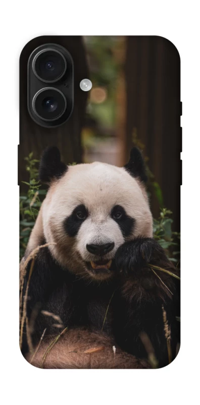 Чехол на Apple iPhone 16 Панда фото 1 из 1