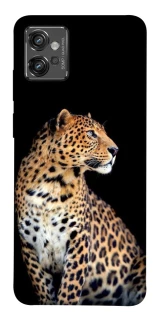 Чохол на Motorola Moto G32 Leopard v2 фото 1 з 1