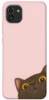 Чохол на Samsung Galaxy A03 Peeping cat фото 1 з 1