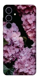 Чехол на Samsung Galaxy S25+ Розовые гартензии фото 1 из 1