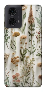 Чехол на Motorola Moto G24 Floral design ver.2 фото 1 из 1