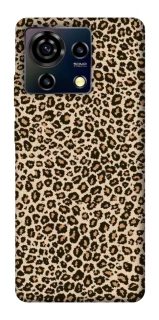 Чохол на ZTE Blade V50 Vita Leopard Skin v2 фото 1 з 1