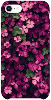 Чохол на Apple iPhone SE (2020) Flowers v7 фото 1 з 1