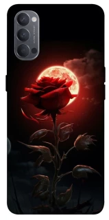 Чехол на Oppo Reno 4 Красная роза фото 1 из 1
