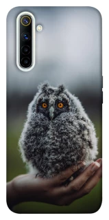Чехол на Realme 6 Совёнок фото 1 из 1