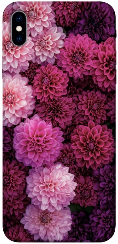 Чохол на Apple iPhone XS Max (6.5") Garden1 фото 1 з 1